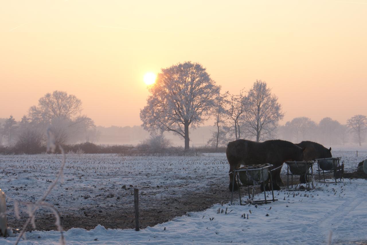 Boutique Hotel Huize Rustoord Esbeek Luaran gambar